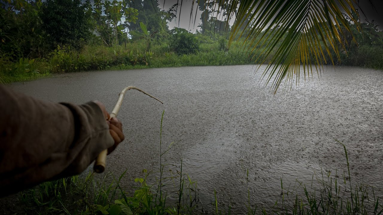 River fishing ( catch and release) #takedown 