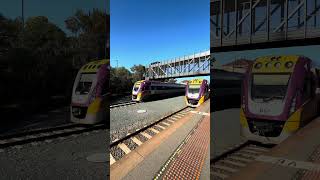 Trains at Bendigo part 5 #train #vline #victoria #bendigo #regionalrail