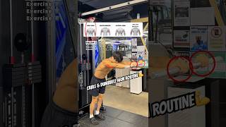 Download Lagu 🔽Day 5 of Diet- 4 Arm Exercises to Maximize Pump🔥 #arms #fitnesstips #gymmotivation #ytshorts MP3