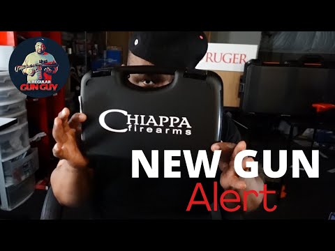 Chiappa Rhino 40DS