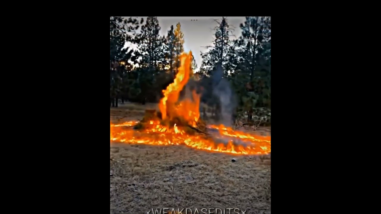 They are trying to attack palastine and ALLAH took revenge ☠️☠️☠️