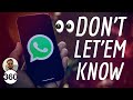 WhatsApp Status Story: How to Check WhatsApp Status Without Letting Others Know