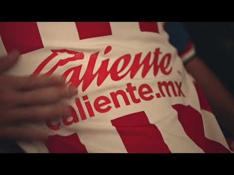 Que es ser ADMINISTRADOR de Casino Online, como comenzar y que se necesita.