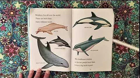 Dolphins! by Sharon Bokoske & Margaret Davidson; illustrated by Courtney Studios. 1993