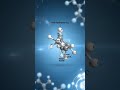 3D structure of Cyclohexane|| Chiar Conformer of Cyclohexane #chemistry #3d #shortsfeed #chemical