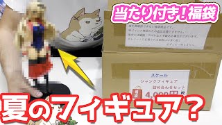 夏っぽいフィギュア多め？1箱4000円の当たり付きフィギュア福袋開けてみた