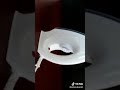 1 minute craft - sunny Leone mobile cover