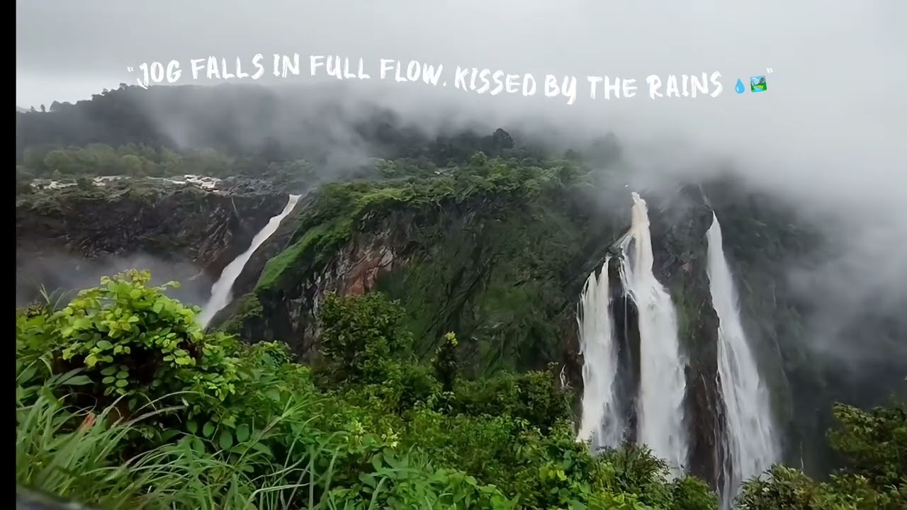 "Monsoon Majesty: Jog Falls Timelapse 🌧️💦 