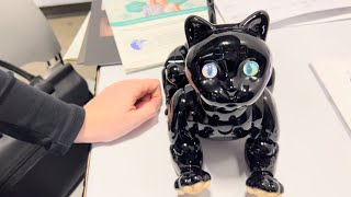 CES 2022 - Maicat by Macroact (The Love Of A Cat)