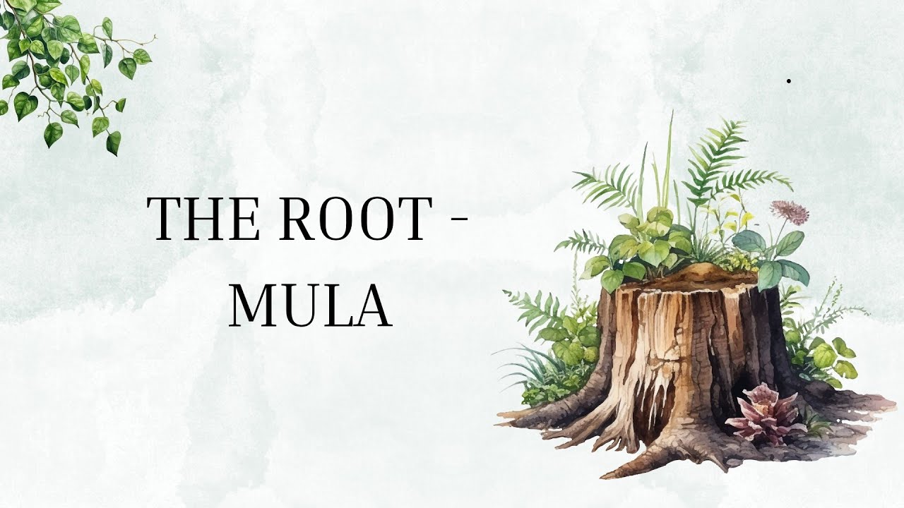 Mula - The root ( tamil )
