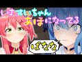 『可愛い』頑張りすぎて『あほ』になっちゃってる【星街すいせい】