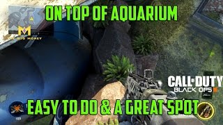 Call Of Duty Black Ops 3 Glitches - On Top Of Map Aquarium