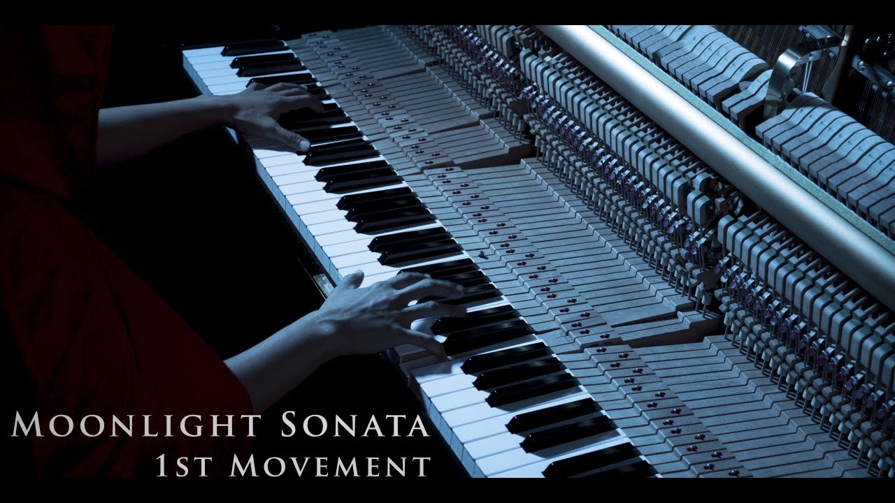 Бетховен - Лунная Соната 1 часть (Beethoven - Moonlight Sonata 1st Movement)