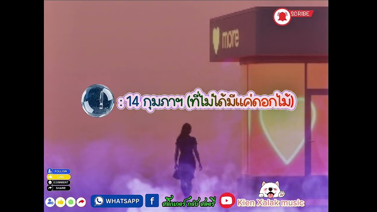 14 กุมภาฯ (ที่ไม่ได้มีแค่ดอกไม้)#music #เพลงฮิต #เพลงเพราะ #เพลงใหม่ #coversong 