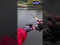 【WAH37HH】Hit Scene & ASMR 🎣 JDM Area Trout Fishing #shorts