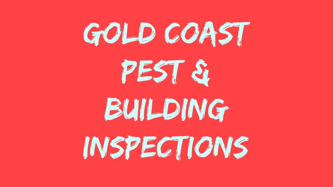 Pest and Building Inspection Gold Coast