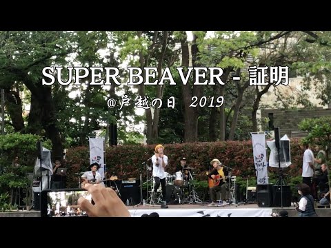 SUPER BEAVER - 証明 【戸越の日 2019.5.4 @戸越公園】