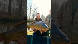 Succesvolle Wintersessie bracht ons deze prachtige schubkarper!! #carpfishing #carp #karpervissen
