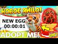 НОВОЕ ДОИСТОРИЧЕСКОЕ ЯЙЦО В АДОПТ МИ!😱🥚АТЗЕК ЯЙЦО УХОДИТ НАВСЕГДА😲НОВОЕ ОБНОВЛЕНИЕ👀ADOPT ME NEW EGG