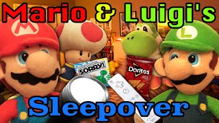 Mario &amp; Luigi's Sleepover - Cuddly Mario Bros.