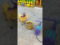 Cute Deer Enjoys Cool Water | Diy Mini Water Pump Project 😍|#shorts #youtubeshorts
