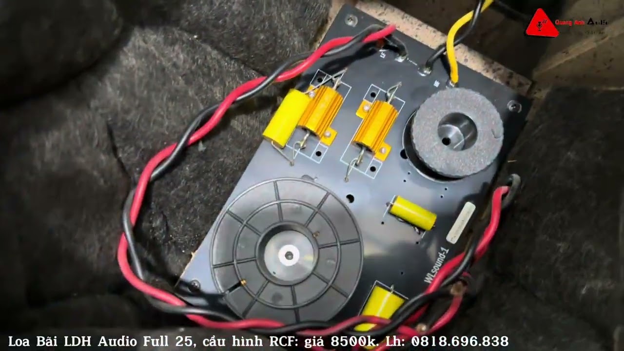 Loa bãi LDH AUDIO TT+10: full bass 25 cấu hình RCF. 
