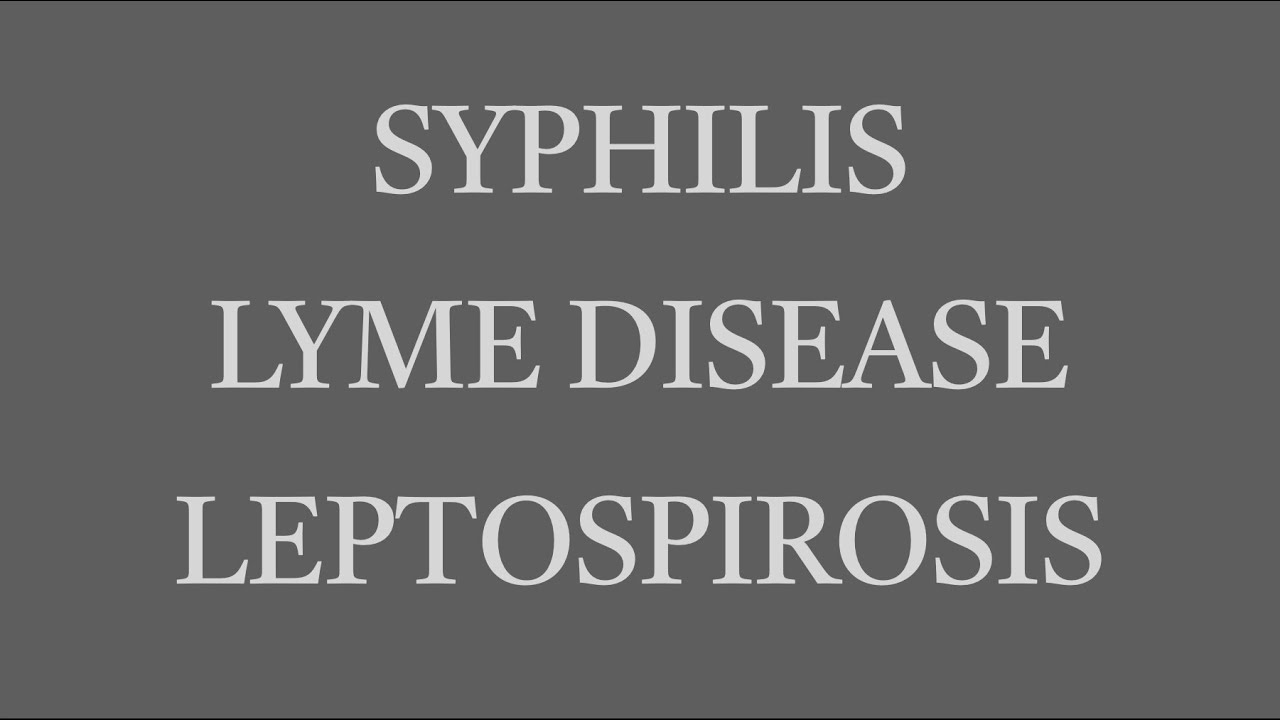 Uveitis Session 10 Infectious Uveitis (Part 1 Syphilis, Lyme