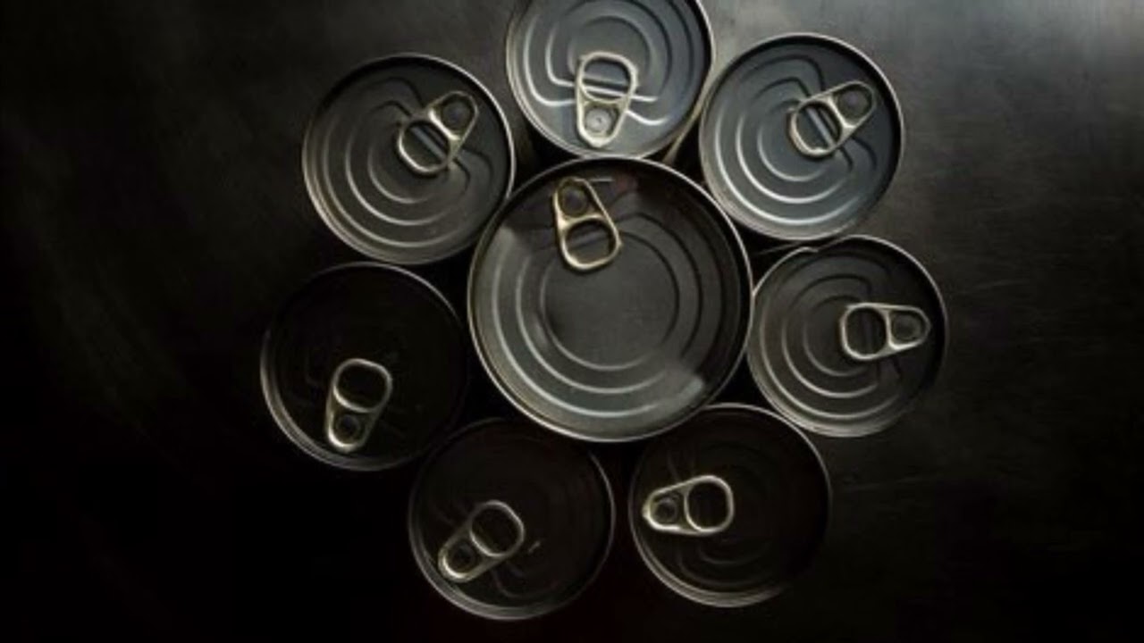 The Backrooms Object C-1 "Canned Dragon Meat" (Deutsch/German)