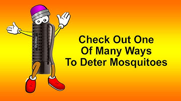 Electronic Pest Control Thats Portable