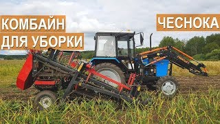 Уборка чеснока. Работа ботвоотделяющего чеснокоуборочного комбайна BROCH. КФХ Игоря Дмитриева