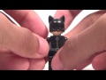 Beginning of video