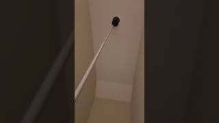 5 Dakikada 100 Dolar Kazanmak.