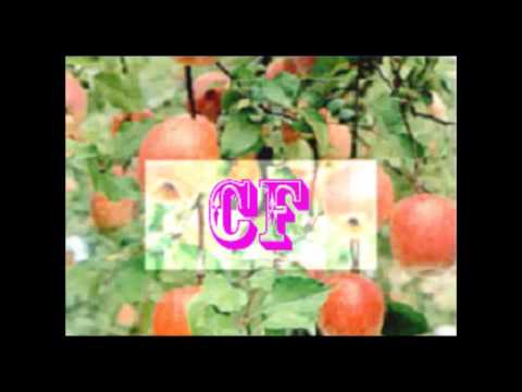 【電台CF】廣三SOGO周年慶