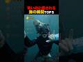 怖いのに癒される！海の瞬間TOP5！