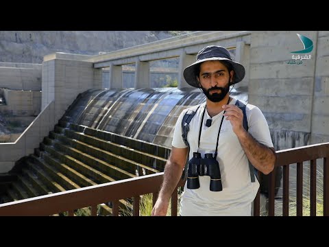 أصدقاء البيئة أشكال الحياة في سد الرفيصة الحلقة 5
