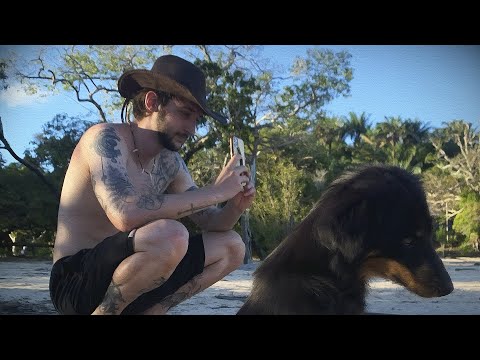 os perigos da amazônia