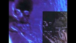 Video thumbnail of "Skinny Puppy - Assimilate"