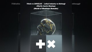 Tisto Vs Droeloe  Lethal Industry Vs Kintsugi martin Garrix Mashup