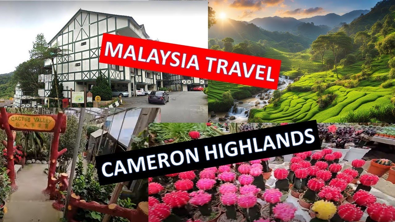 Cameron Highlands--Cool Climate and Charming Scenery