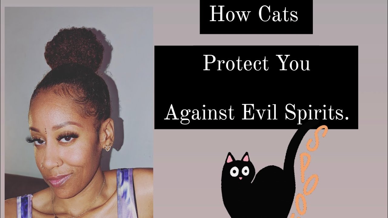 Can cats really protect you against evil Spirits? 🐈‍⬛
