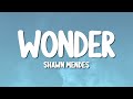 Shawn Mendes Wonder Lyrics 