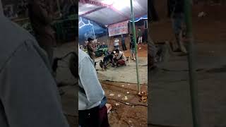 Kuda Lumping Cakras Budaya Gading Sukuh