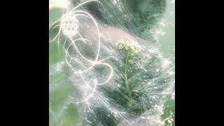 Download Lagu Canon in D (Jungle Remix) – DonQxtniw (Official Audio) MP3