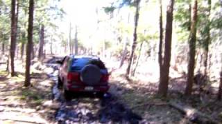 Blazer Off-Roading Through The Woods