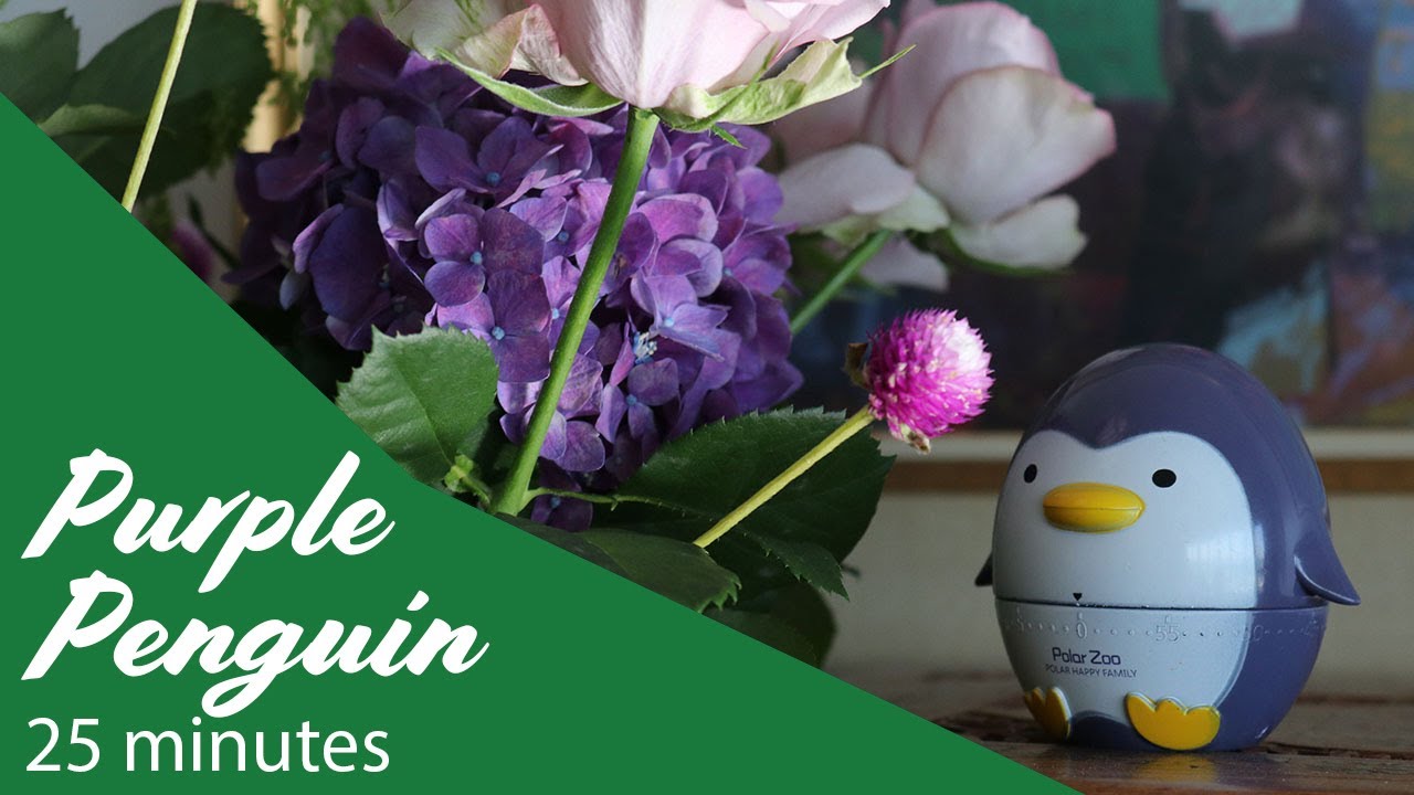 米倉利紀 LIVE DVD 