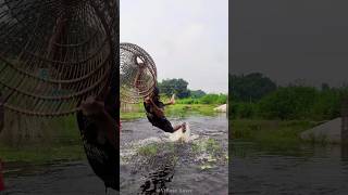 Unique &amp; Best Bamboo Tools Polo Fishing Video (Part_8) #Shorts #polofishing #fishing