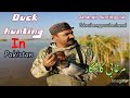 Duck hunting with mansoor kiani and malik jahangir  jahangir hunting club