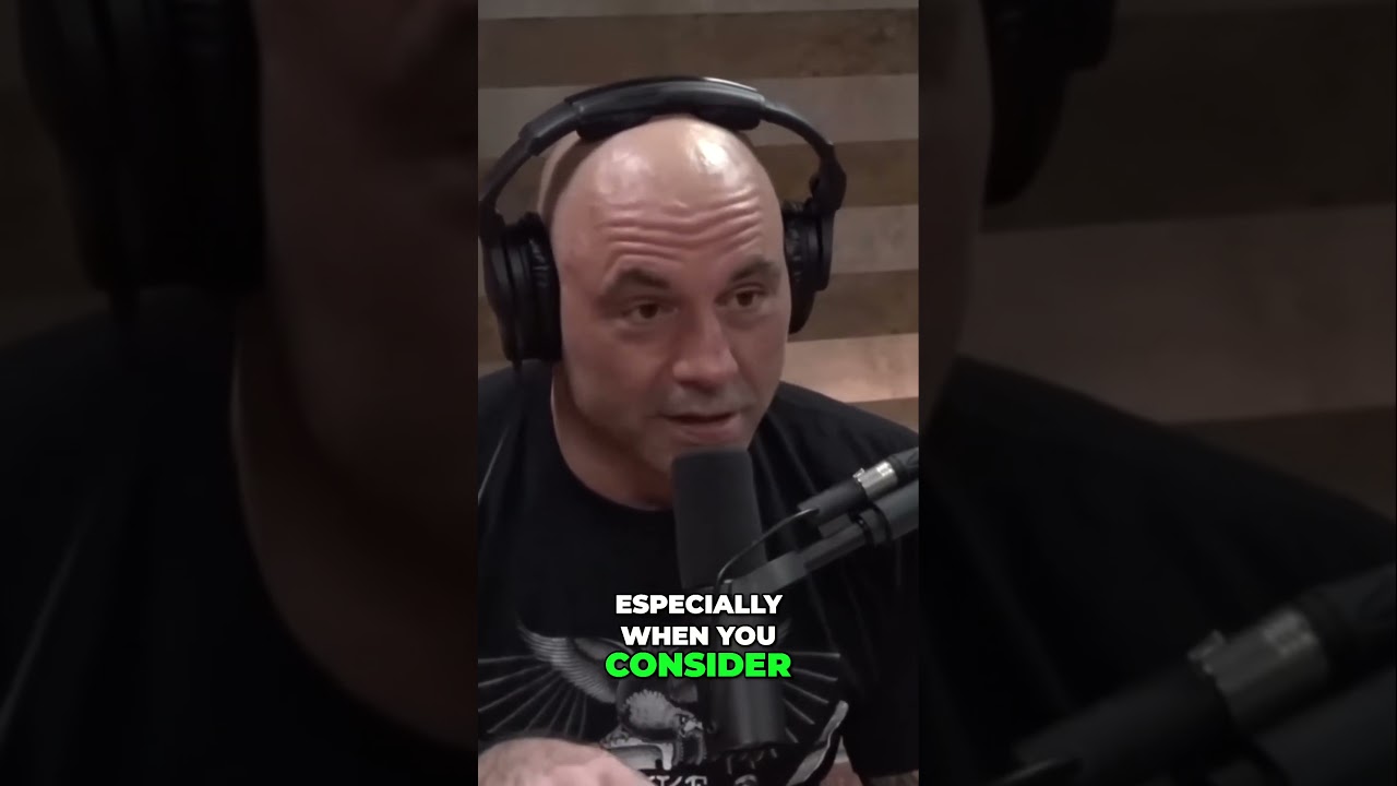 The Future of Humanity: Evolution and AI Synergy 