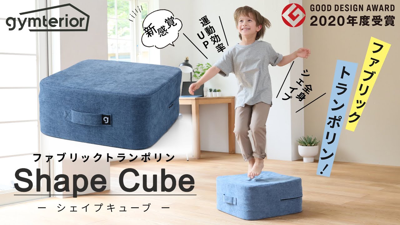 【美品】ジムテリア シェイプキューブ gymterior SHAPE CUBE