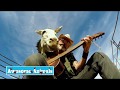 World Famous Hazel The Donkey Tries To Play The Guitar.